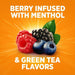 Theraflu Day Time Severe Cold & Cough, Berry Infused with Menthol and Green Tea - 6 ct. - Elvoros