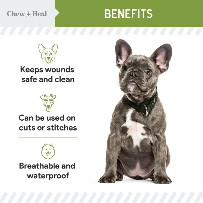 Chew + Heal Liquid Bandage for Dogs - 4 oz Spray with Aloe - Elvoros