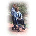 Duet Dual Function Transport Wheelchair Rollator Rolling Walker - Elvoros
