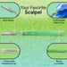 FifthPulse’s Disposable Scalpel Knife #14 - Individually Wrapped Sterile Scalpel Blades - Elvoros